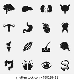 Set of internal organs vector icons.
