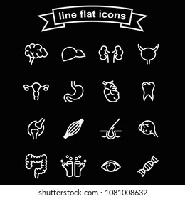 Set of internal organs vector thin line black and white icons.