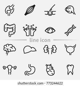 Set of internal organs vector thin line icons.