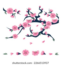 Un conjunto de ramas de sakura entrelazadas con brotes de sakura florecientes. estilo floral, marco, plantilla, medios sociales, decoración. ilustración vectorial.