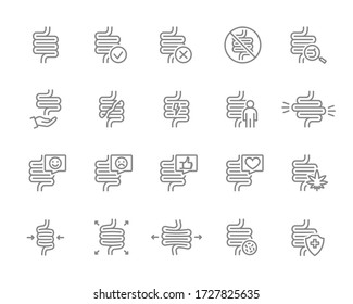 Icono de línea intestinal. Órganos internos sanos, colon, enfermedad del tracto digestivo, diagnóstico, tratamiento y más.