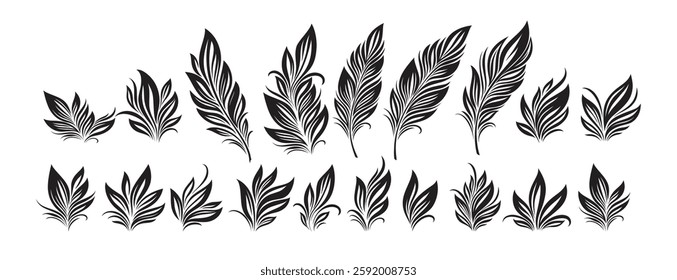 Set of Intricately Designed Black Feather Motifs in Various Styles and Arrangements