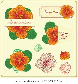 Set of invitation and wedding card design elements. Floral decorative poster, greeting card. Vintage elegant design.