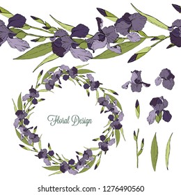Set of iris floral elements isolated on white background, wreath and seamless brush of flowers, vector illustration