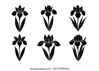 set of iris flower vector illustration