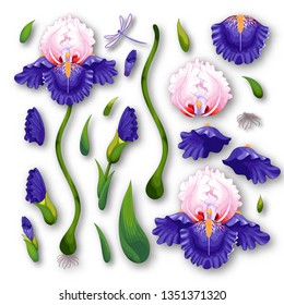 Set of iris flowers, leaves, buds, stems, petals and dragonfly with sadows to create designs