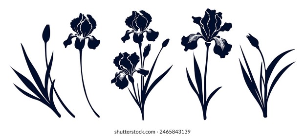 Set of iris flowers with leaves. Flower silhoutte. Vector illustration	