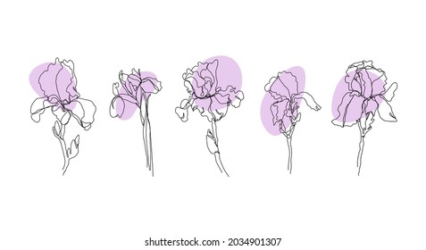 Set of iris flowers in one line style isolated on white background. Modern continuous art in an elegant style for prints, tattoos, posters, textiles, postcards. Collection of beautiful iris flowers.