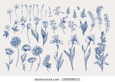 Set with irises, anemones, carnations and poppies. Spring and summer flowers and leaves. Isolated plants on a light background. Blue