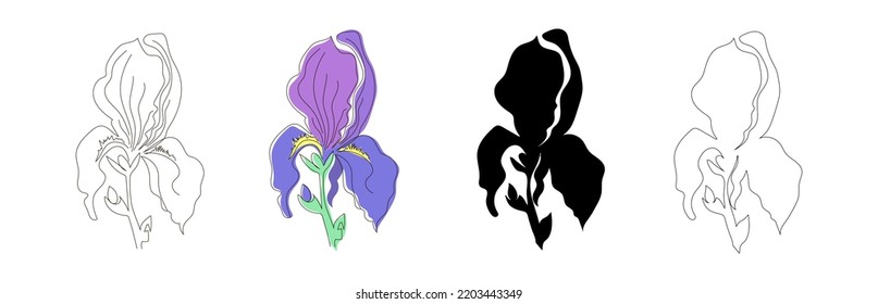 Set of irises with buds on a stem in lilac. Flower in line style, doodle, black silhouette and outline. Stock vector illustration, isolated on white background.