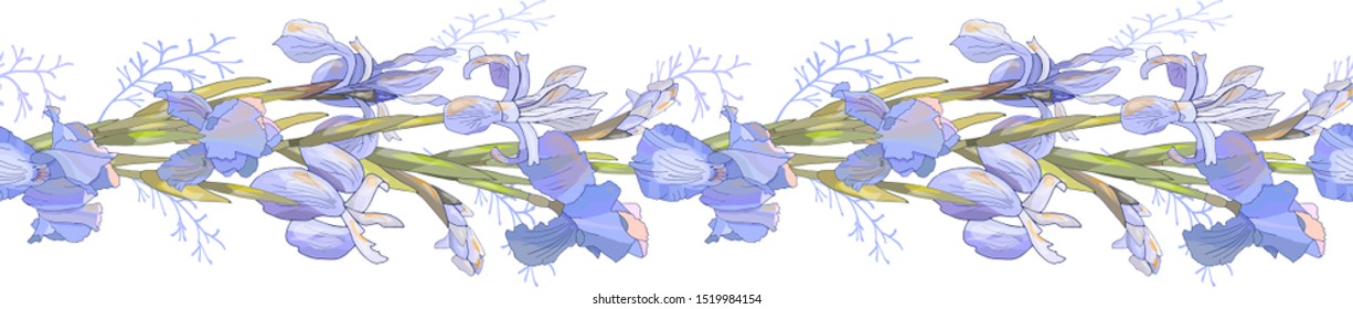 Set of Irises flowers. Seamless pattern. Hand drawing vector illustration in botanical style Isolated on white. blossom. Horizontal border: mauve flowers, buds, green leaves, vintage