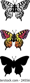 Set of isolate vector butterflies - vector illustrator