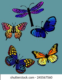 Set of isolate vector butterflies - vector illustrator