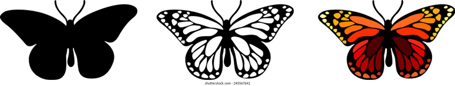 Set of isolate vector butterflies - vector illustrator