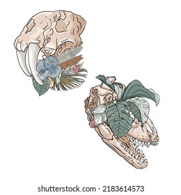 Set of isolated animal skulls dinosaurs in colors. Animal skulls in Boho style. Big set as a blank for designers, logo, icon, print