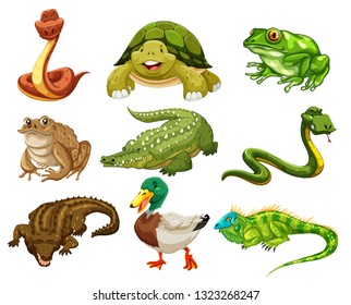 Set of isolated animals illustration