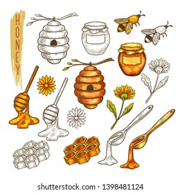 Set of isolated apiary items or apiculture, beehouse accessory. Sketch of bee or was, honeycomb and honey, spoon and dipper, flower and jar, dipper and beehive, stick and beeswax, comb.Insect and farm