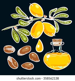 Set of isolated argan  branches, leaves, argan nuts, fruits, argan tree (ironwood). Suitable for packing Argan oil creams. Vector illustration of a hand drawn style