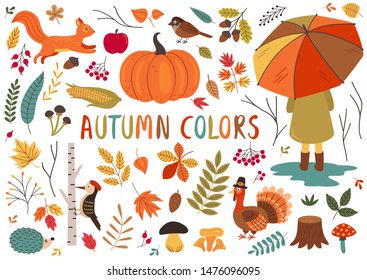 set of isolated autumn colorful elements  - vector illustration, eps    
