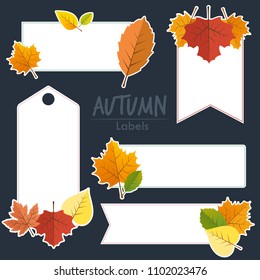 set of isolated autumn label with the autumn leaves