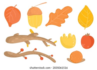 set of isolated autumn plant. Autumn leaves, branch, berry