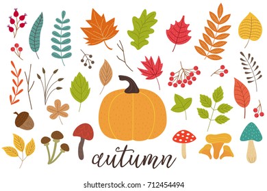 set of isolated autumn plants - vector illustration, eps
