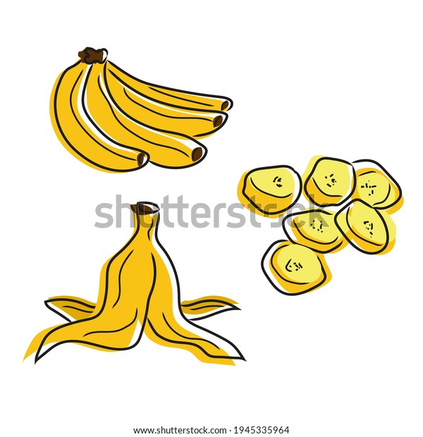 Set Isolated Bananas On White Doodle Stock Vector Royalty Free Shutterstock