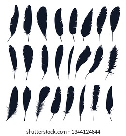 Set of isolated bird feather or plume silhouette. Black quill for decoration or writing. Hand drawn wing plumage, angel or dove, swan fluff closeup. Naturale fluffy sign, fuzz contour, Fly animal