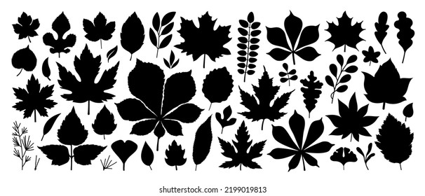 Set of isolated black autumn leaves on white