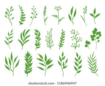 set of isolated black branches and herbs