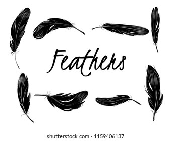 Set of isolated black feathers on transparent background in realistic style vector illustration.