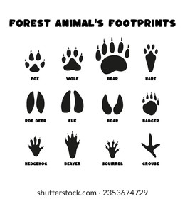 Establece siluetas negras aisladas de huellas de animales del bosque sobre fondo blanco en un estilo vectorial plano. Fox, oso, lobo, alce, badger, liebre, escudero, castor, ciervo de huevo, jabalí, erizo, grueso