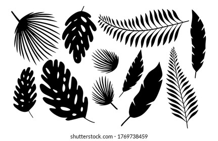 Set of isolated black silhouettes of tropical palm leaves and monstera. Vector illustration
