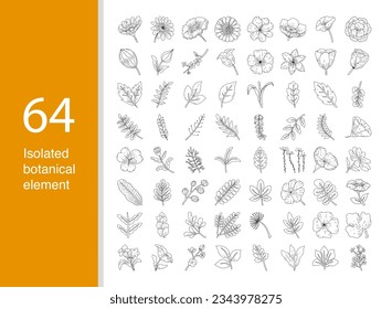 Set of isolated botanical element, black and white hand drawn style