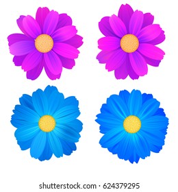 Set of isolated buds of flowers, blue and purple gerbera. Vector colorful flowers on white background. Template for for t-shirt, fashion, prints and other design.