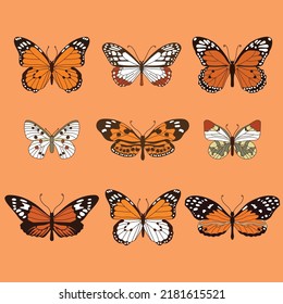 A set of isolated butterflies in orange tones. Beautiful flying insects. Vector illustratioт. Monarch, zorian, apollo. Eueides isabella, Heliconius burneyi, Heliconius melpomene, Danaus chrysippus.