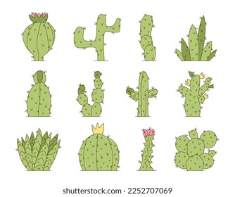 Conjunto de cactus aislados. Colección de plantas exóticas mexicanas. Cactus verde picante lindo sobre fondo blanco. Ilustración vectorial.