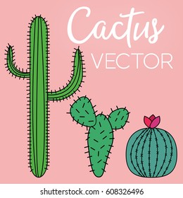 Set of Isolated Cactus and Succulent Vector Background Textures