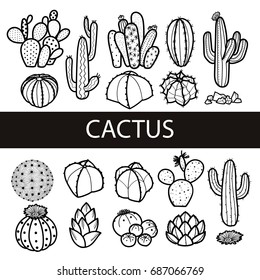 Set of isolated cactus and succulents in black outline. Hand drawn style. Vector illustration.