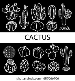 Set of isolated cactus and succulents in white outline & black plane. Hand drawn style. Vector illustration.