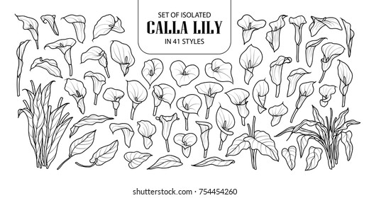 Set of isolated Calla lily in 41 styles. Cute hand drawn flower vector illustration in black outline and white plane on white background.