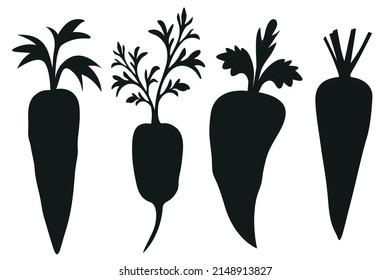 Set of Isolated carrots with leaves vector