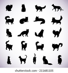 Set of isolated cat silhouettes in various poses