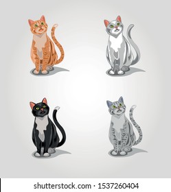 A set of isolated cats. Gray tabby cat, red tabby cat, white cat and black cat.