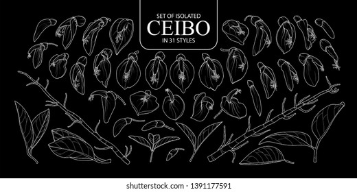 Set of isolated Ceibo in 31 styles. Cute hand drawn flower vector illustration only white outline on black background.