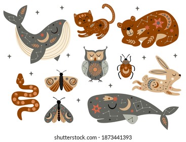 Set Of Isolated Celestial Animals