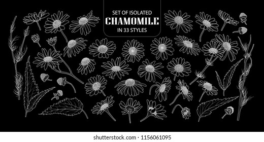 Set of isolated chamomile in 33 styles. Cute hand drawn flower vector illustration only white outline on black background.