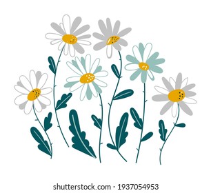 Set of isolated chamomile. Medicinal plant daisy chain vector illustration. Set of spring colorful flowers. Set of floral branch. Isolated on white for greeting cards, Easter, thanksgiving. Spring