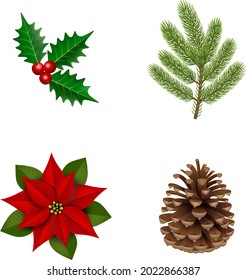 set of isolated christmas plants. holly, pine branch, pine cone and poinsettia for christmas decorations.