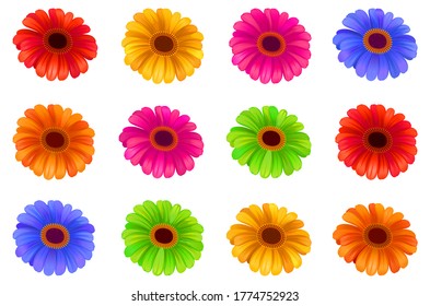 A set of isolated color flowers gerbera for design and print. Vector EPS10
